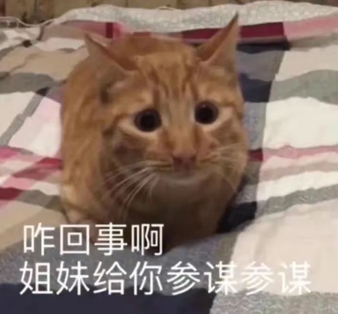 为什么70%的女性都无法取悦自己的身体?