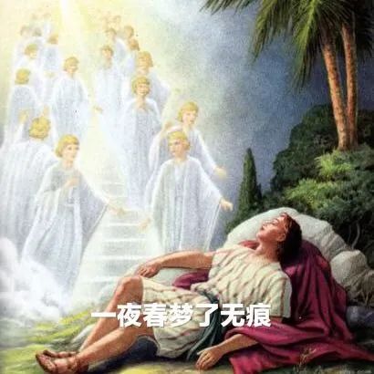 人类快感程度排行榜